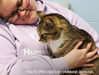 Humane Indiana Offers Holiday Discounts to Help Pets and Families Prepare for the Season
