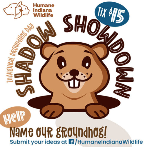 A New Groundhog Day Tradition Will Provide Family Fun in NWI