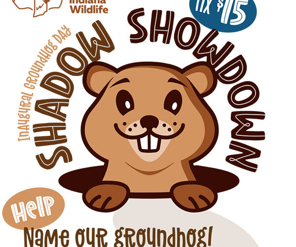 A New Groundhog Day Tradition Will Provide Family Fun in NWI