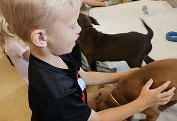 Furry Friends and Summer Fun: Humane Indiana’s Animal-Themed Day Camps Are Back!